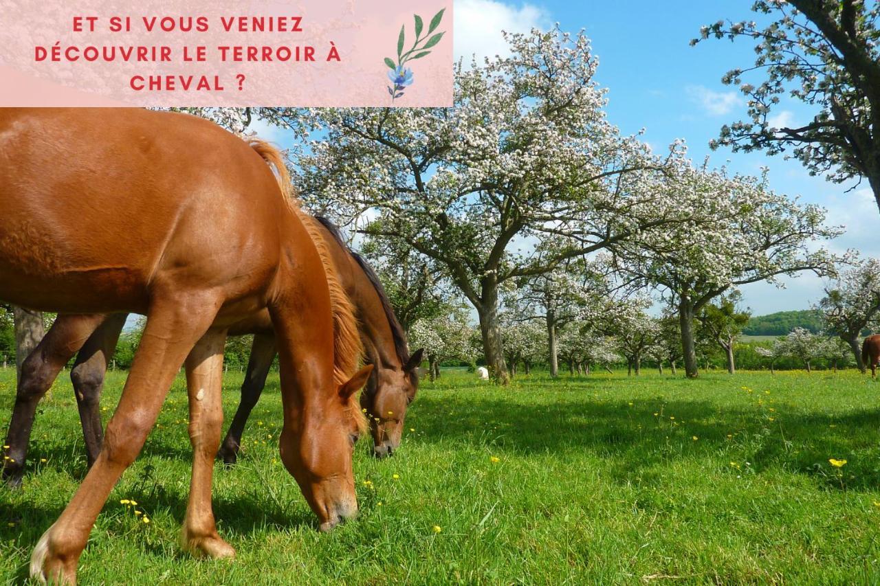 Suite Jungle - Jardin, Netflix Et Parking - Le Manoir Aux Pommes Orbec ภายนอก รูปภาพ